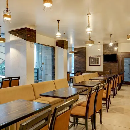 Hotel Tela Suite Inn Near Igi Airport Delhi